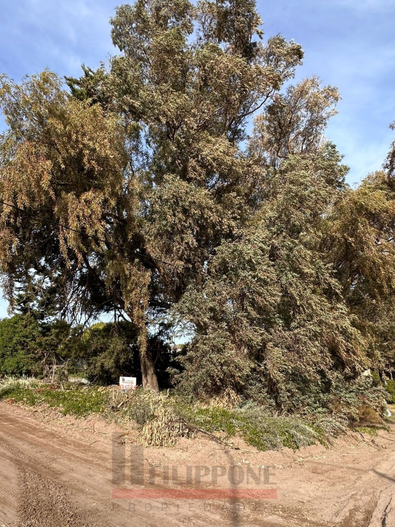 Terreno en Venta en Rodriguez Peña,  Monte Hermoso - Bahía Blanca Propiedades | SITIO OFICIAL l