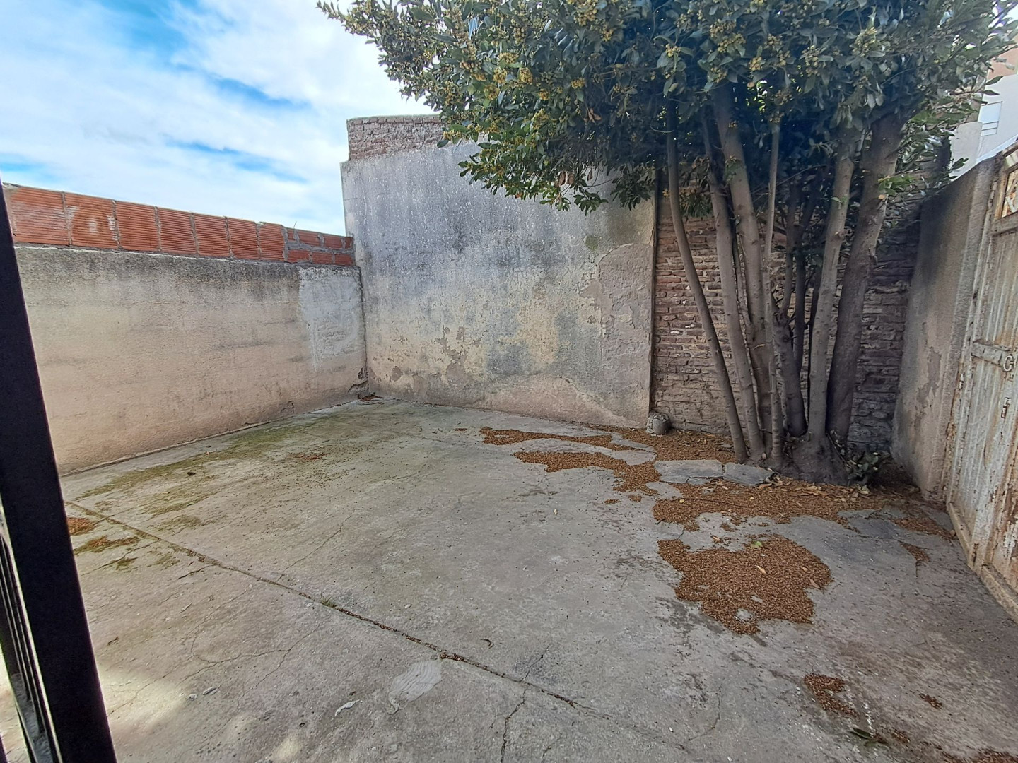 Departamento Interno en Alquiler en Alberti 672, San Cayetano, Bahía Blanca - Bahía Blanca Propiedades | SITIO OFICIAL l