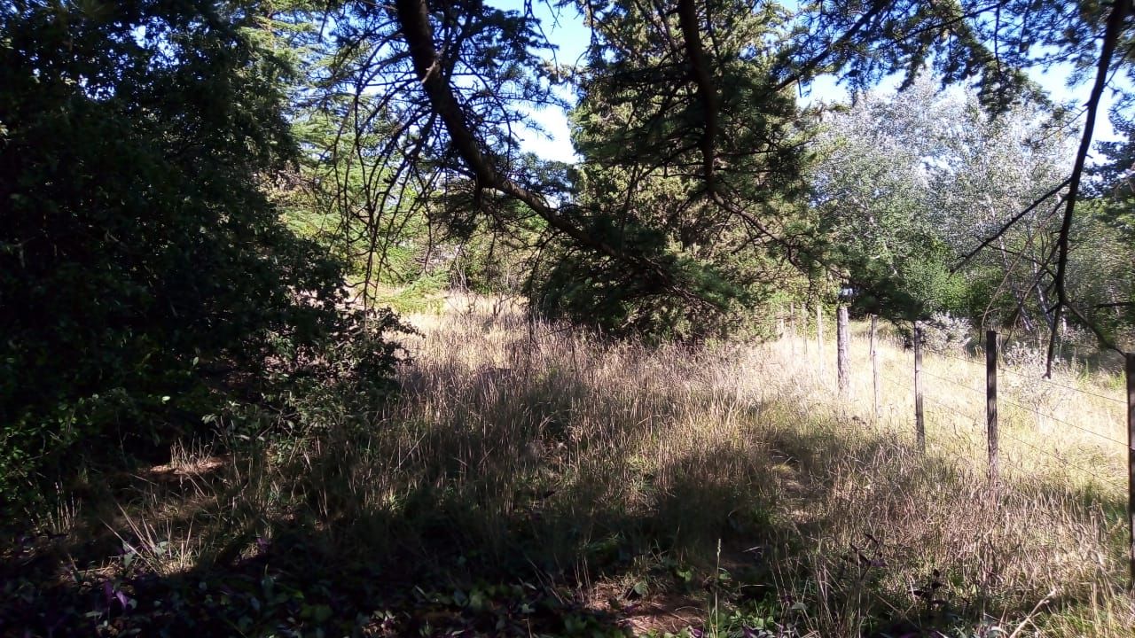Terreno en Venta en Tres Picos 630,  Sierra de  la Ventana - Bahía Blanca Propiedades | SITIO OFICIAL l