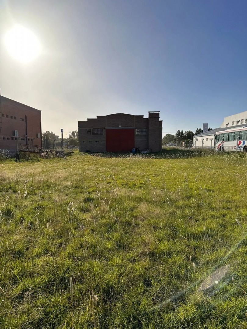 Galpón en Venta en Sesquicentenario,  Bahía Blanca - Bahía Blanca Propiedades | SITIO OFICIAL l