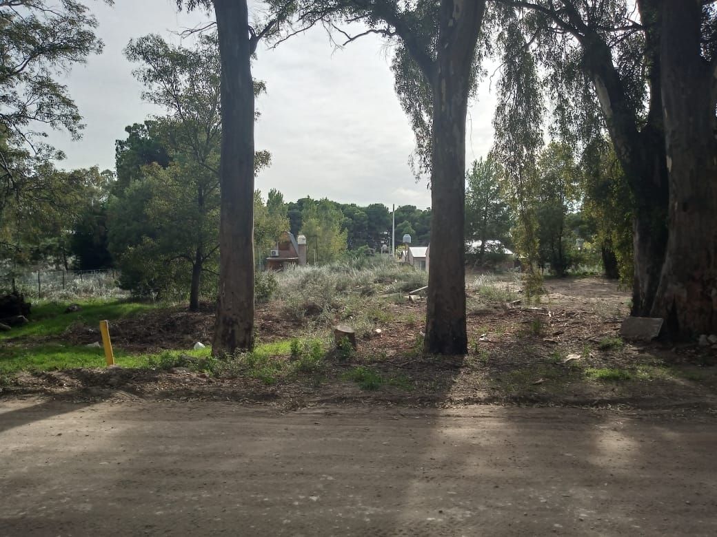 Terreno en Venta en Seclantas, El Sauce, Monte Hermoso - Bahía Blanca Propiedades | SITIO OFICIAL l