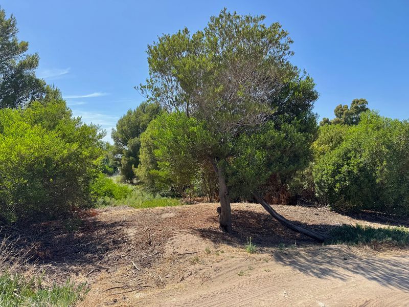 Terreno en Venta en La Florida, El Sauce, Monte Hermoso - Bahía Blanca Propiedades | SITIO OFICIAL l