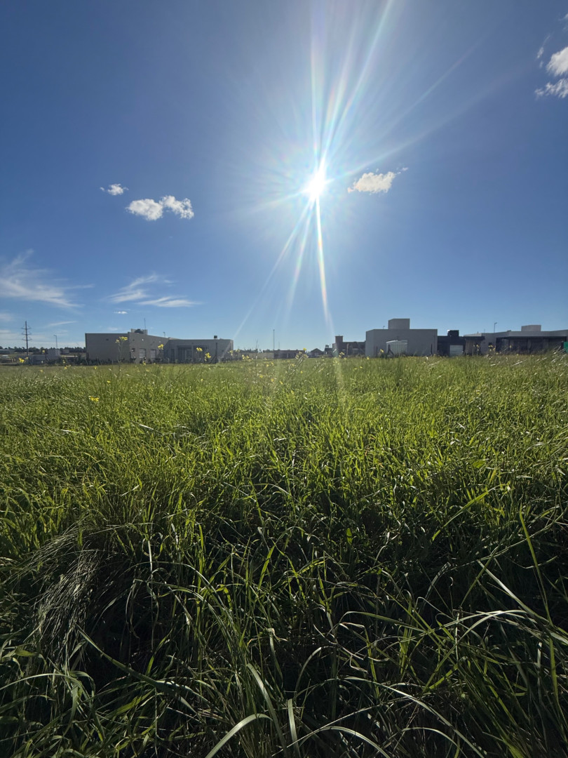 Terreno en Venta en Cerro Tres Picos , La Barranca , Bahía Blanca - Bahía Blanca Propiedades | SITIO OFICIAL l