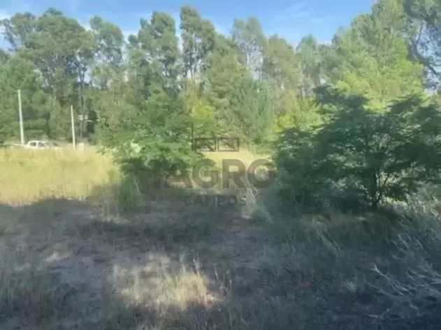 Terreno en Venta en Barrio Dufaur, Dufaur, Monte Hermoso - Bahía Blanca Propiedades | SITIO OFICIAL l