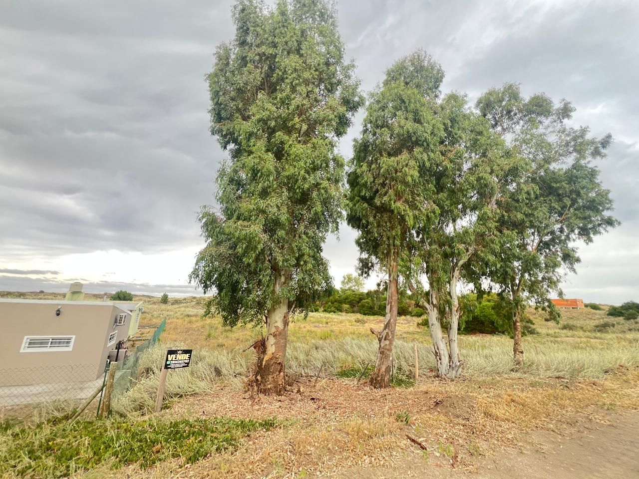 Terreno en Venta en Santa Clara, El Sauce, Monte Hermoso - Bahía Blanca Propiedades | SITIO OFICIAL l