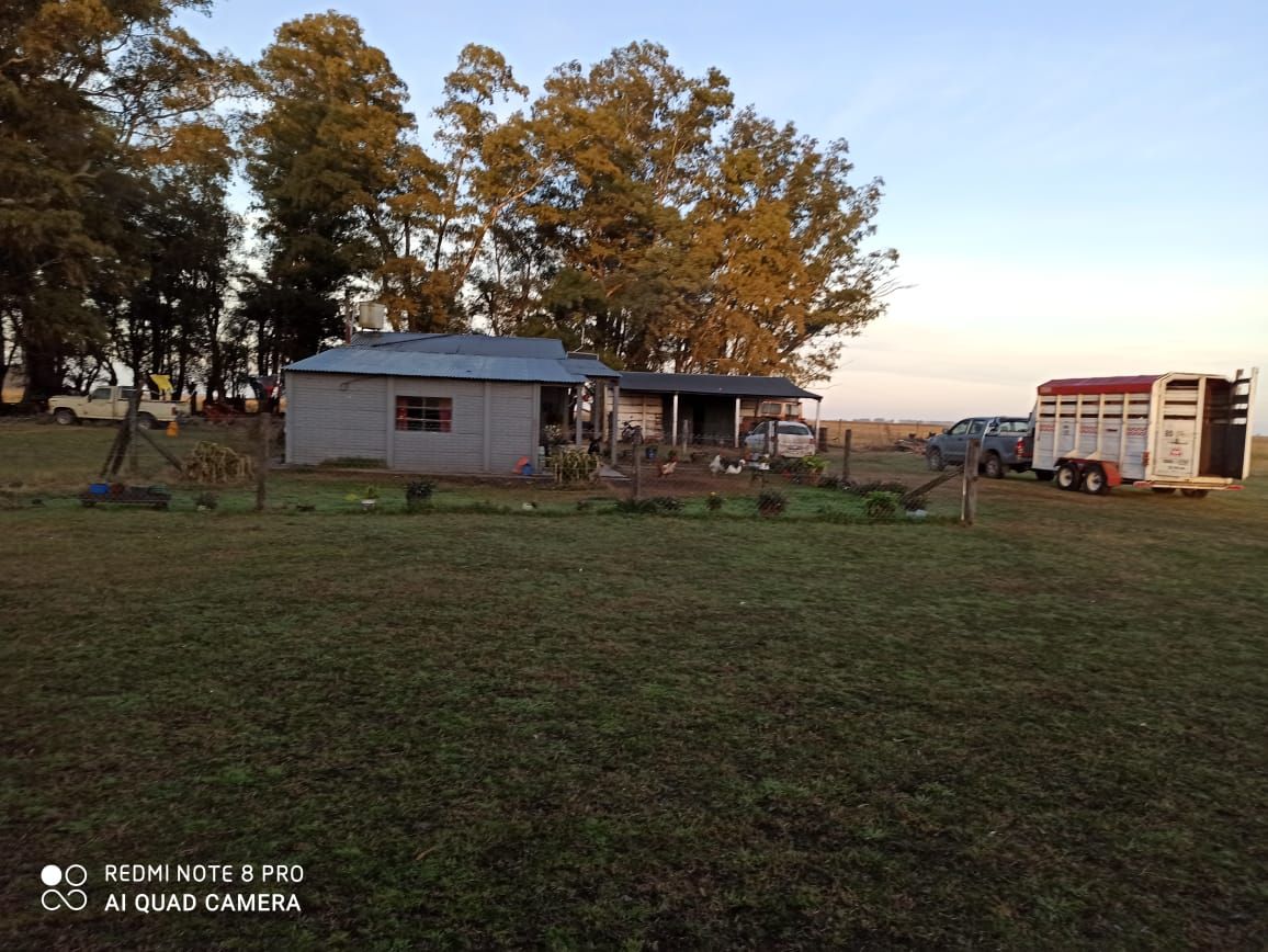 Campo  en Venta - Bahía Blanca Propiedades | SITIO OFICIAL l