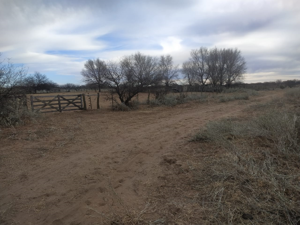Campo  en Venta en Hucal-La Pampa,  Bahía Blanca - Bahía Blanca Propiedades | SITIO OFICIAL l