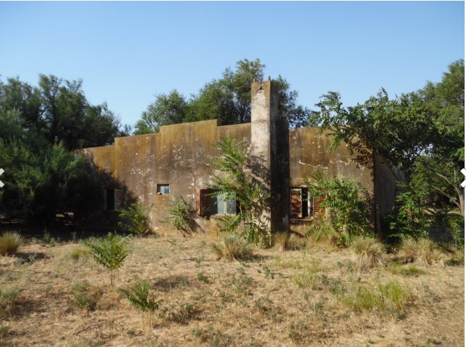 Campo  en Venta en Partido De Villarino,  Villarino - Bahía Blanca Propiedades | SITIO OFICIAL l