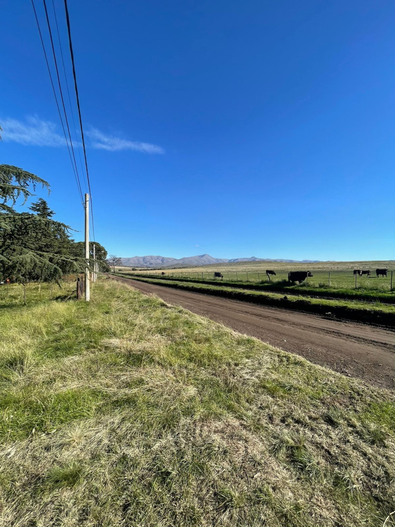 Terreno en Venta - Bahía Blanca Propiedades | SITIO OFICIAL l