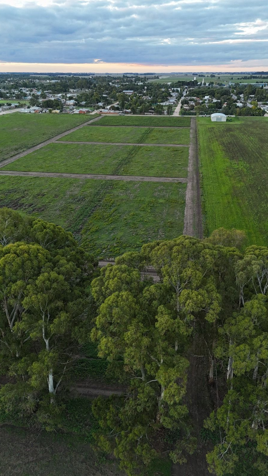 Terreno en Venta en Av Independencia Y Mandisoví,  Coronel Suarez - Bahía Blanca Propiedades | SITIO OFICIAL l
