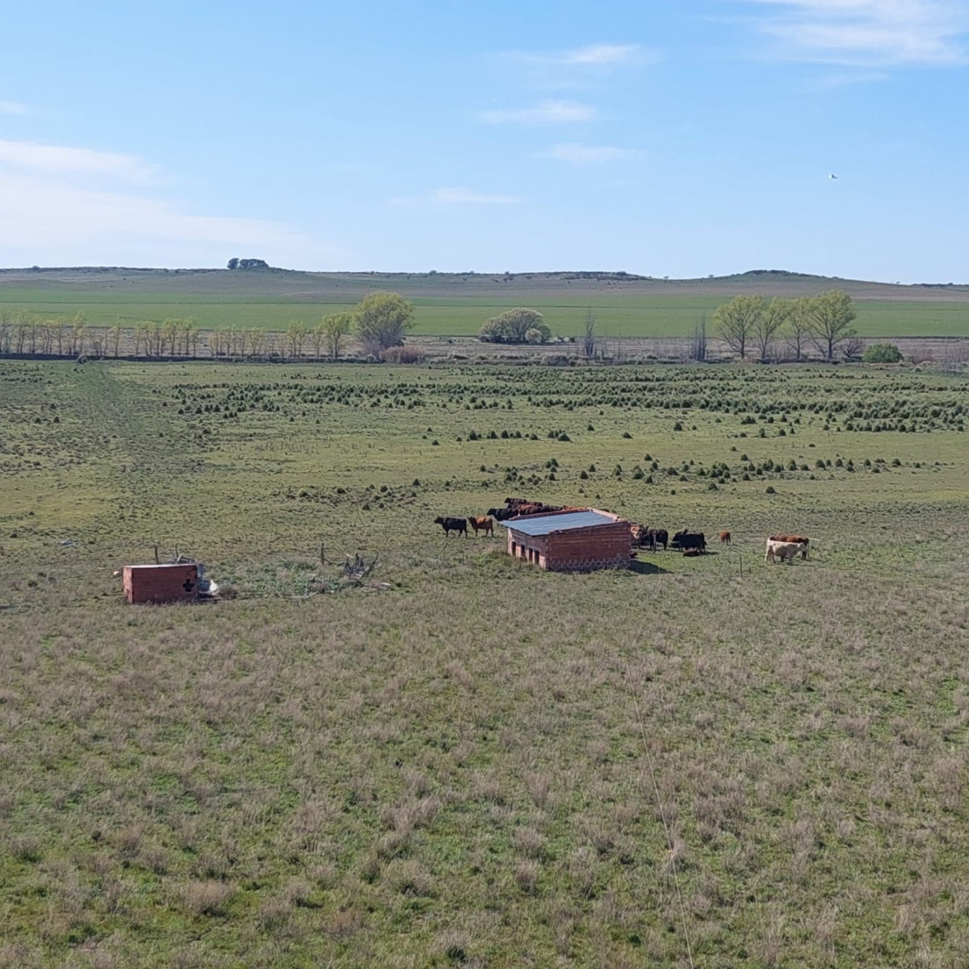 Campo  en Venta en Ruta 35,  Tornquist - Bahía Blanca Propiedades | SITIO OFICIAL l