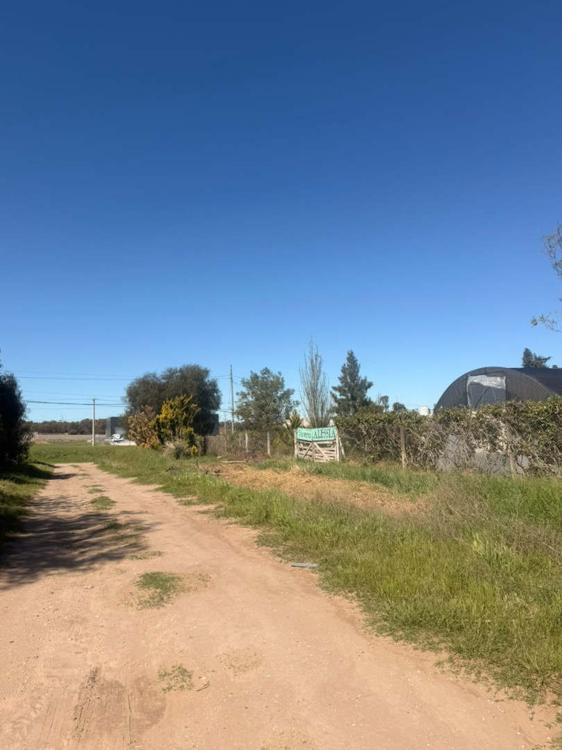 Terreno en Venta en Los Pinos Y Felipe Varela , San Carlos, Bahía Blanca - Bahía Blanca Propiedades | SITIO OFICIAL l