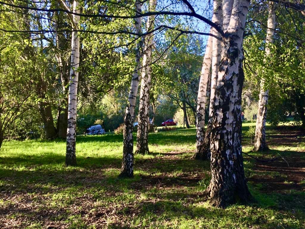 Campo  en Venta en El Bolsón ,  El Bolsón - Bahía Blanca Propiedades | SITIO OFICIAL l