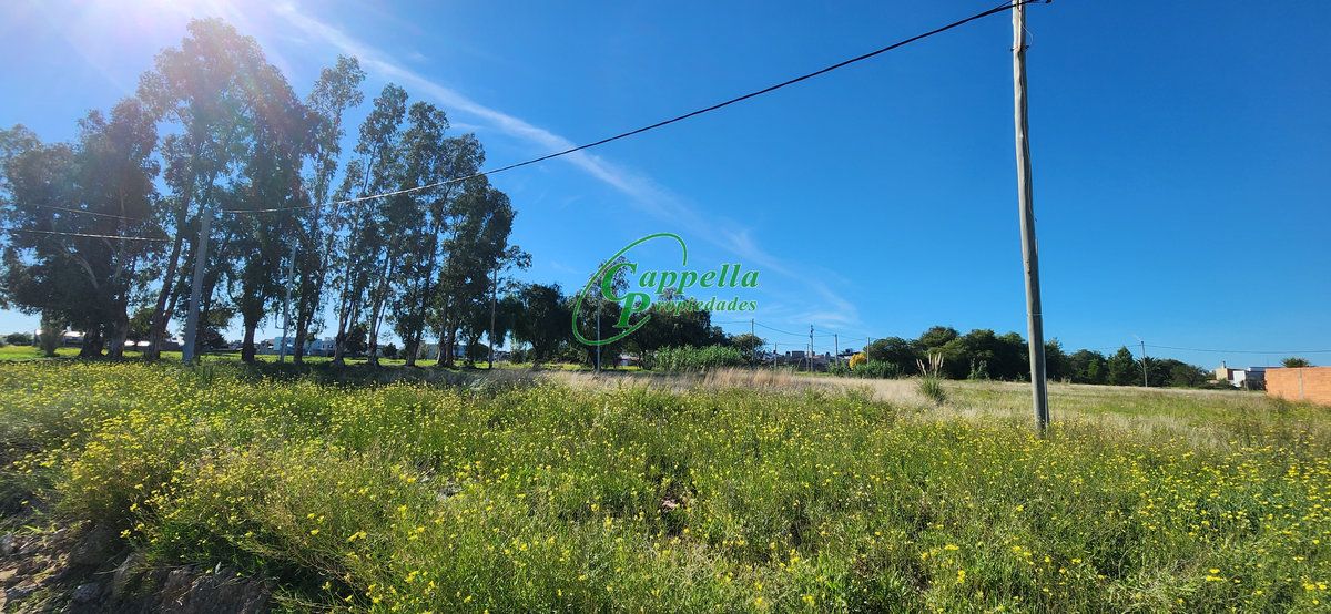 Terreno en Venta en Jose Hernandez Y Zapiola,  Bahía Blanca - Bahía Blanca Propiedades | SITIO OFICIAL l
