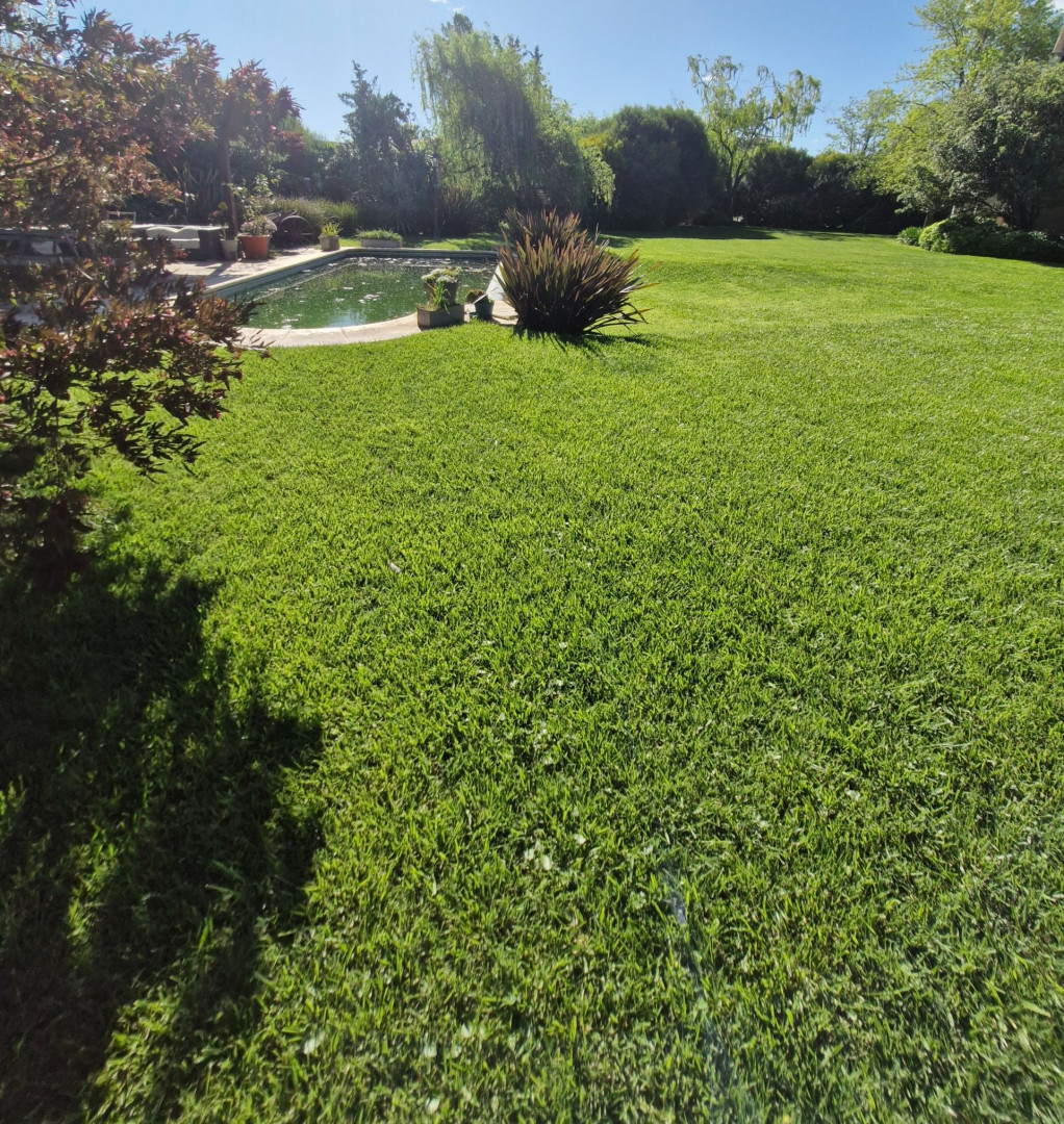 Terreno en Venta en Bosque Alto, Bosque Alto, Bahía Blanca - Bahía Blanca Propiedades | SITIO OFICIAL l