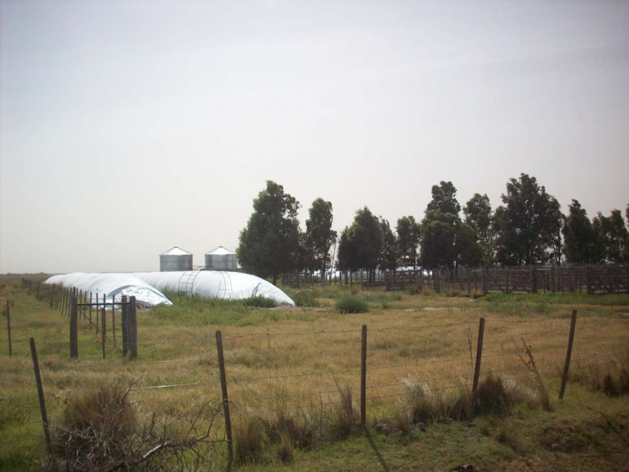 Campo  en Venta en Carmen De Patagones,  Carmen de Patagones - Bahía Blanca Propiedades | SITIO OFICIAL l