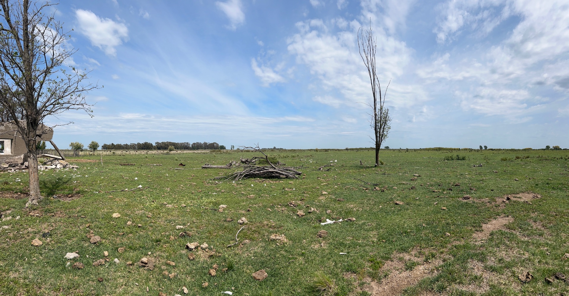 Campo  en Venta en Rio Mayor Buratovich,  Hilario Ascasubi - Bahía Blanca Propiedades | SITIO OFICIAL l