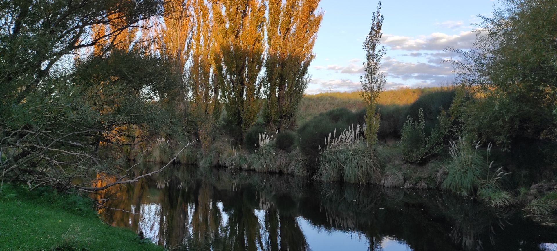 Campo  en Venta   Tornquist - Bahía Blanca Propiedades | SITIO OFICIAL l