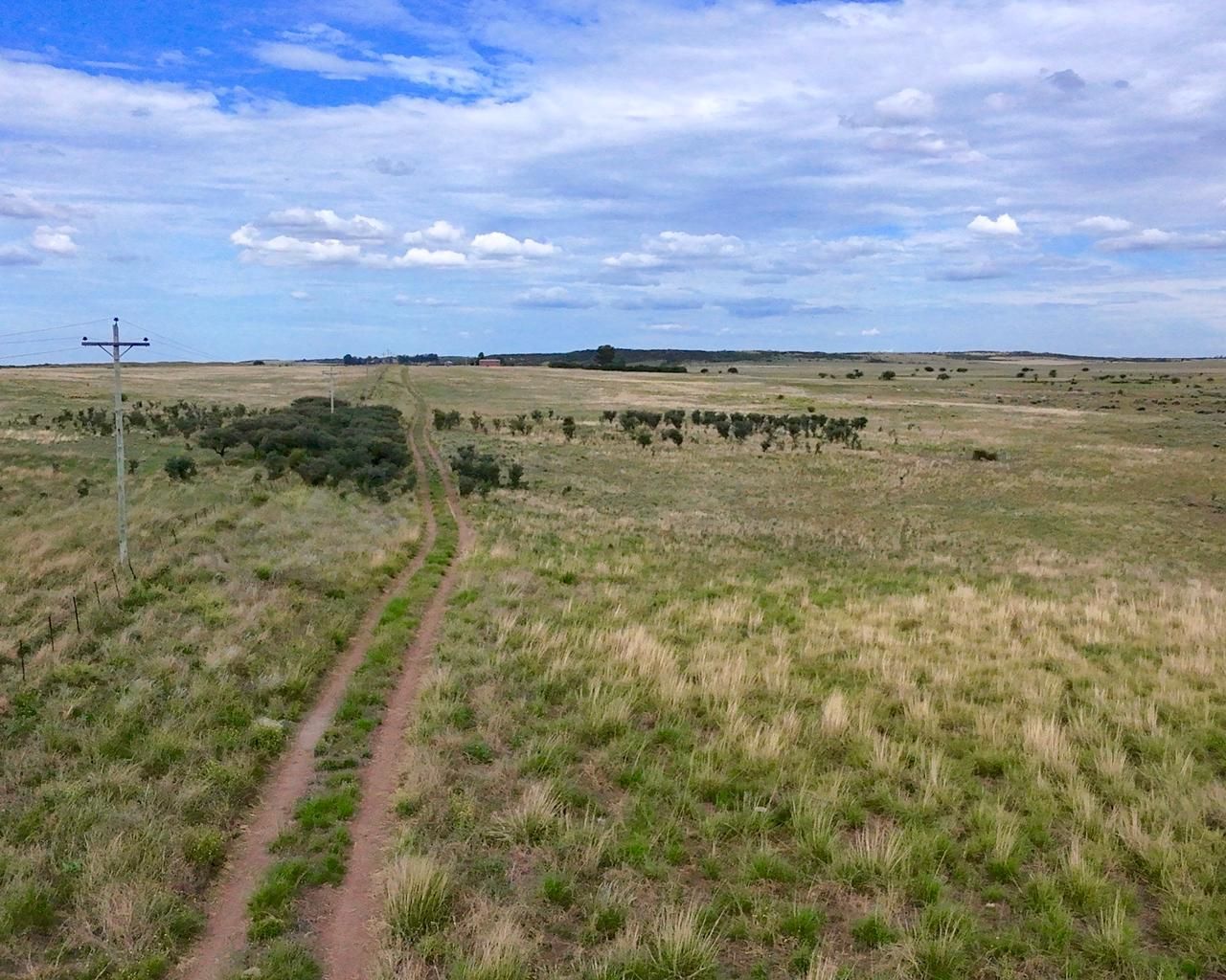 Campo  en Venta en A 4 Kilómetros De La Ruta 3.,  Teniente Origone - Bahía Blanca Propiedades | SITIO OFICIAL l