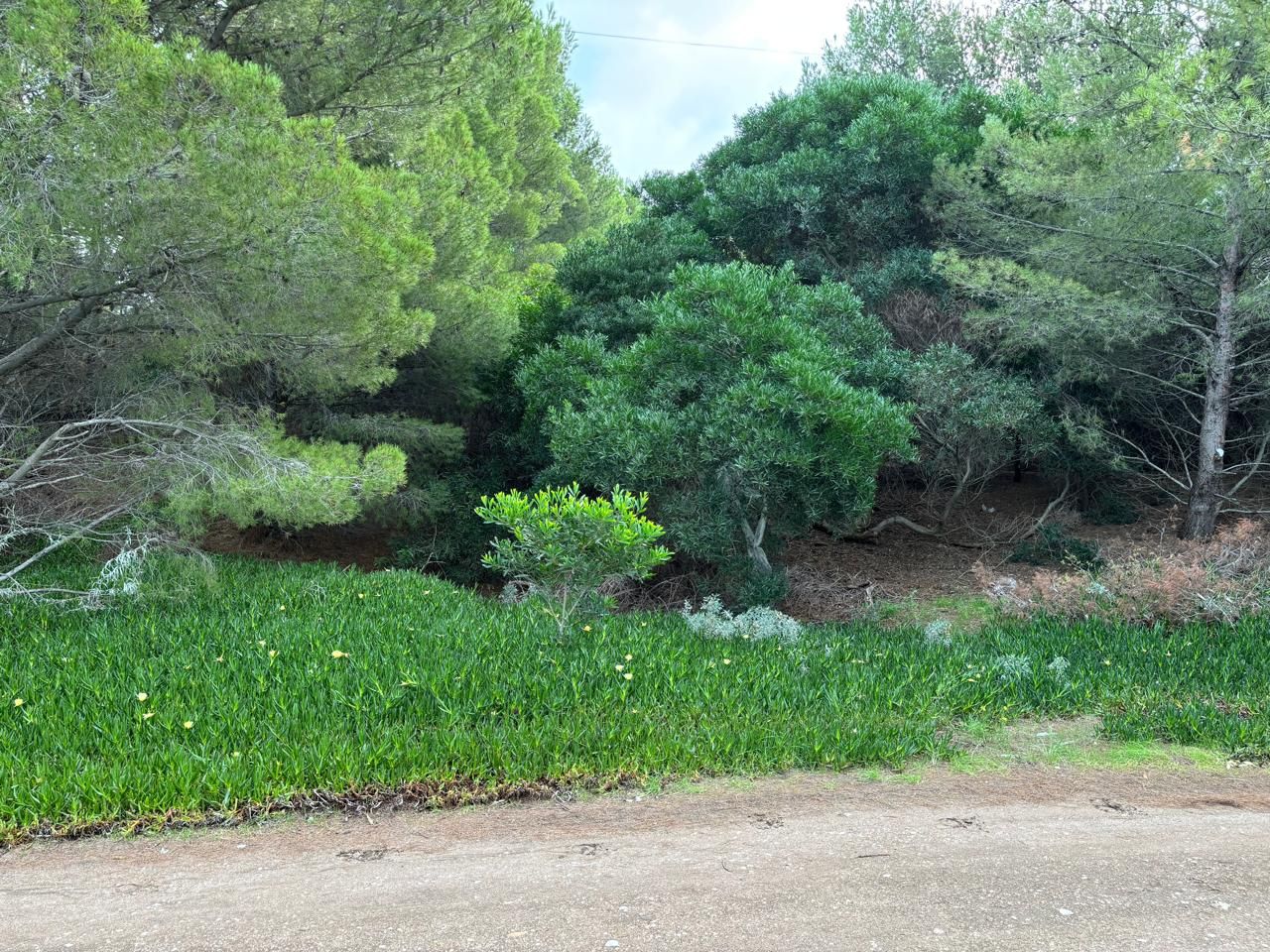 Terreno en Venta en Del Covento Y Mar Del Tuyu, El Sauce, Monte Hermoso - Bahía Blanca Propiedades | SITIO OFICIAL l
