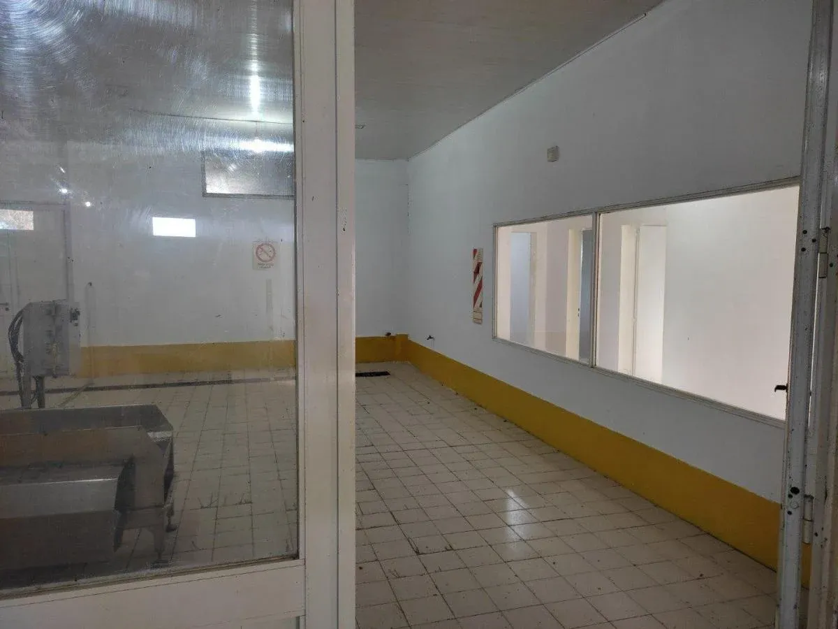 Deposito en Venta en Ruta 35 Km. 10,5, Villa Bordeu, Bahía Blanca - Bahía Blanca Propiedades | SITIO OFICIAL l