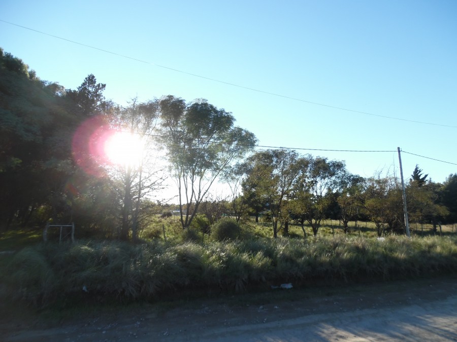 Terreno en Venta en Barrio Los Muñecos, Los Muñecos, Bahía Blanca - Bahía Blanca Propiedades | SITIO OFICIAL l