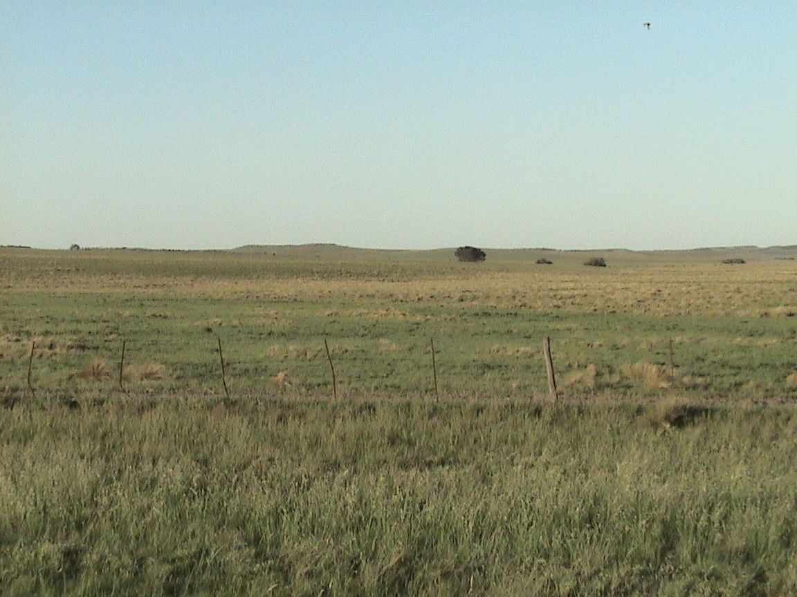 Campo  en Venta en Partido De Puan,  Puan - Bahía Blanca Propiedades | SITIO OFICIAL l