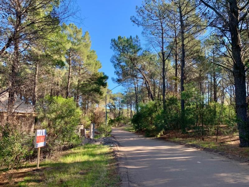 Terreno en Venta en Bosque Alegre Entre Los Zorzales Y El Gavilán, Pinar del Golf, Monte Hermoso - Bahía Blanca Propiedades | SITIO OFICIAL l
