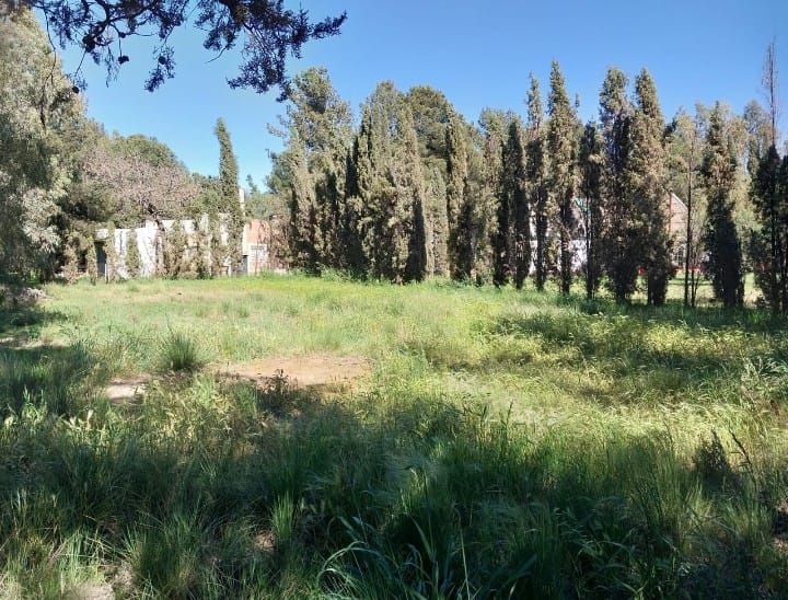 Terreno en Venta en Ayacucho 5950, Los Chañares, Bahía Blanca - Bahía Blanca Propiedades | SITIO OFICIAL l