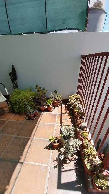 Casa en Venta en Alvarado 900, Universitario, Bahía Blanca - Bahía Blanca Propiedades | SITIO OFICIAL l