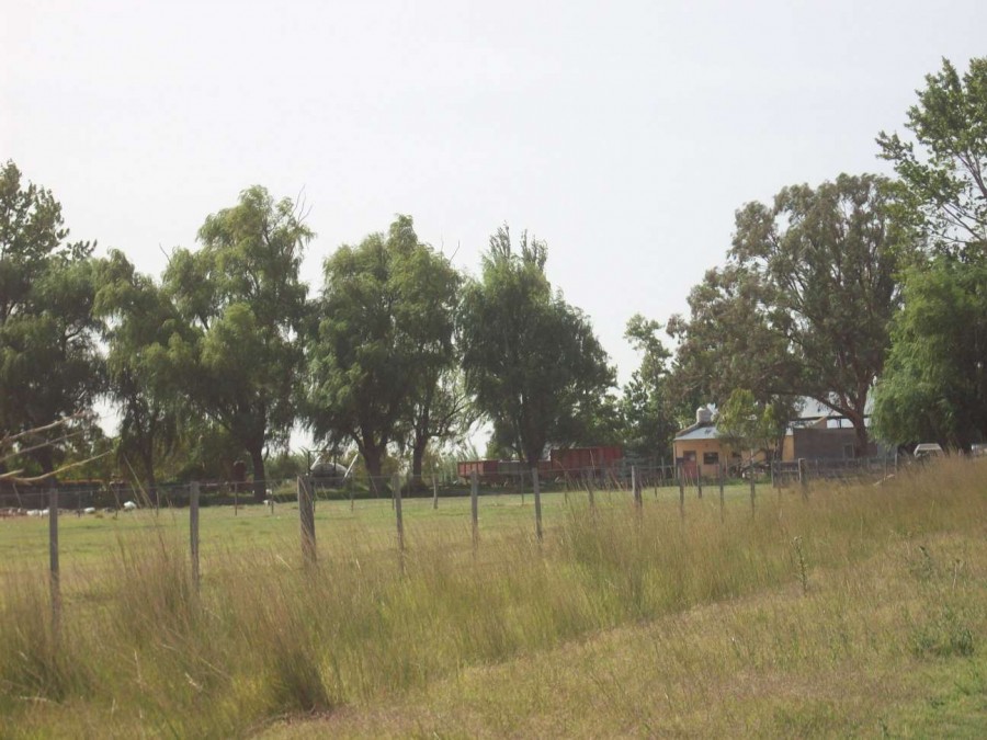 Campo  en Venta en Carmen De Patagones,  Carmen de Patagones - Bahía Blanca Propiedades | SITIO OFICIAL l