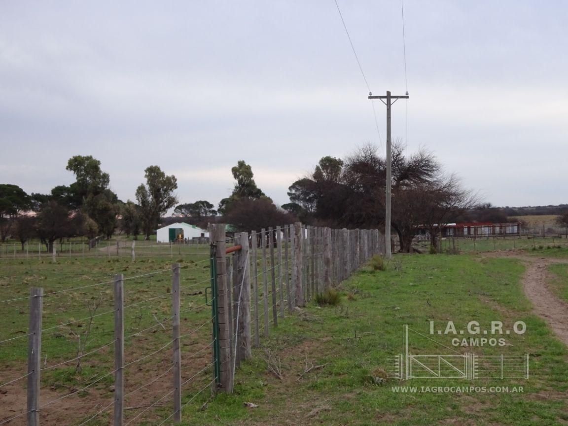 Campo  en Venta en Villarino,  Villarino - Bahía Blanca Propiedades | SITIO OFICIAL l