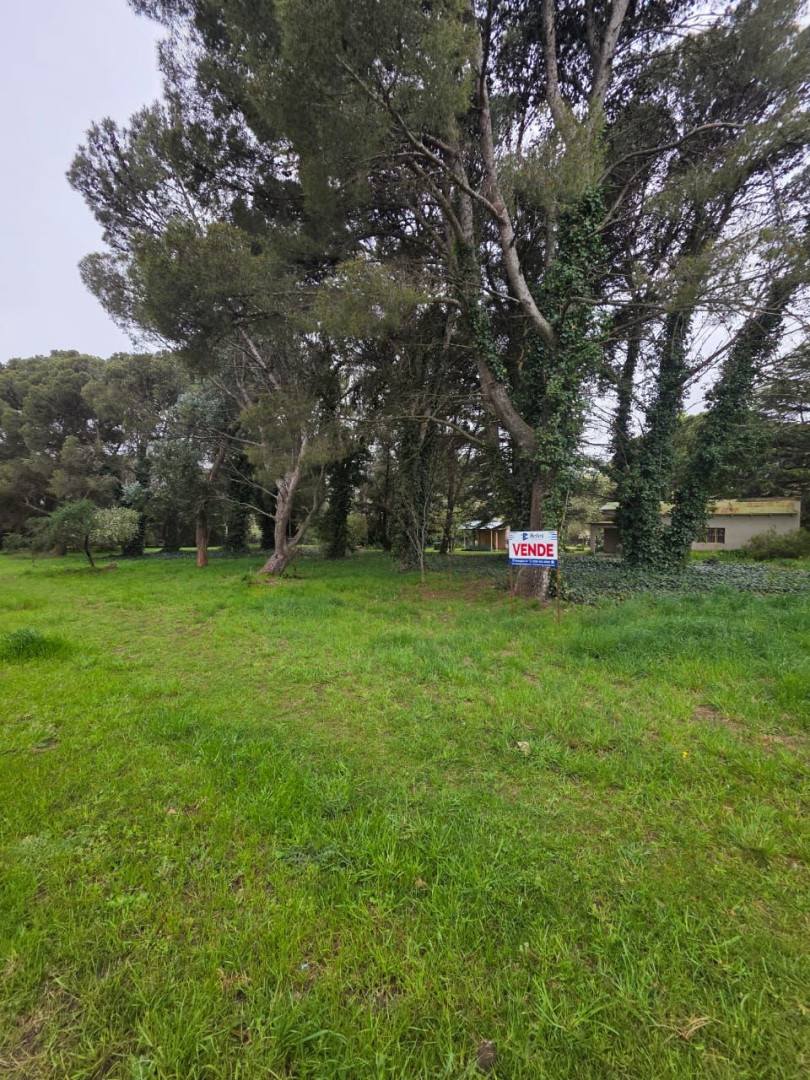 Terreno en Venta en Tres Picos Y Calandria,  Villa Ventana - Bahía Blanca Propiedades | SITIO OFICIAL l