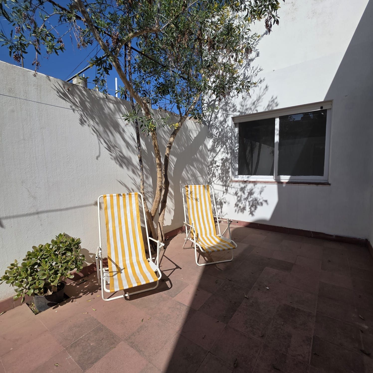 Departamento en Alquiler en Salta 326, Universitario, Bahía Blanca - Bahía Blanca Propiedades | SITIO OFICIAL l