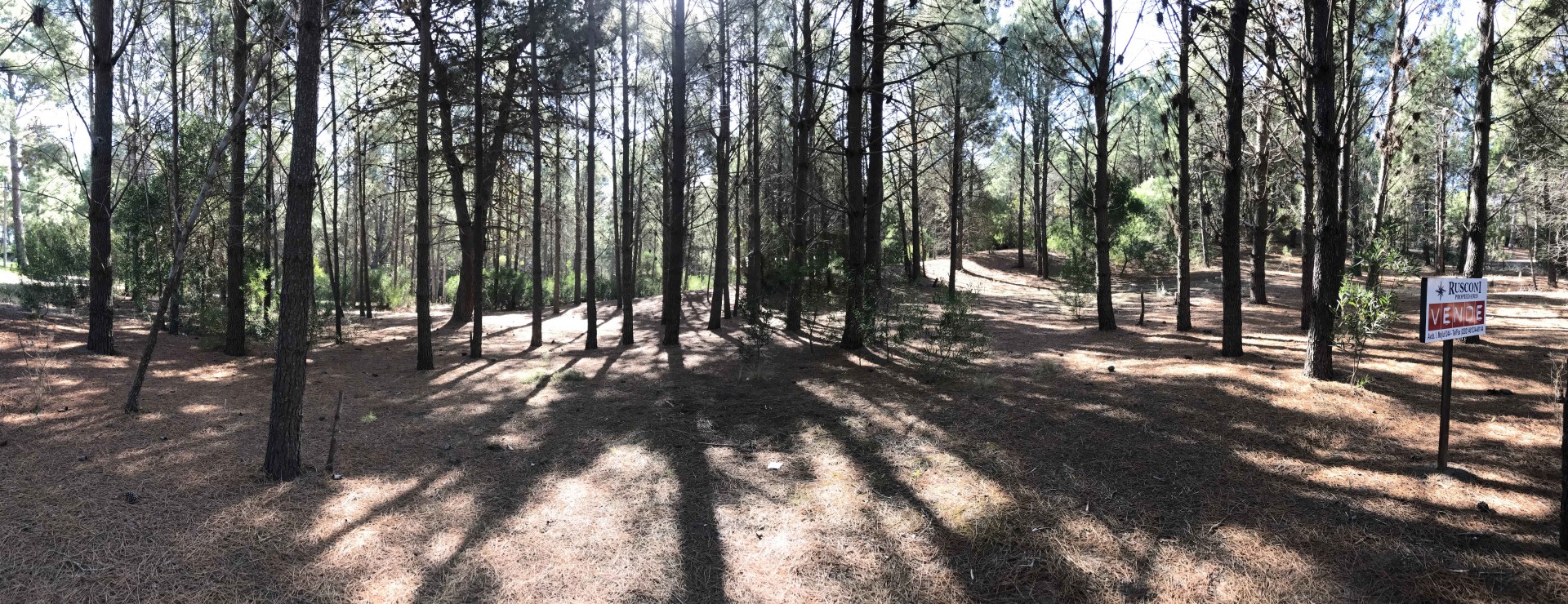 Terreno en Venta en Pinar Del Golf,  Monte Hermoso - Bahía Blanca Propiedades | SITIO OFICIAL l