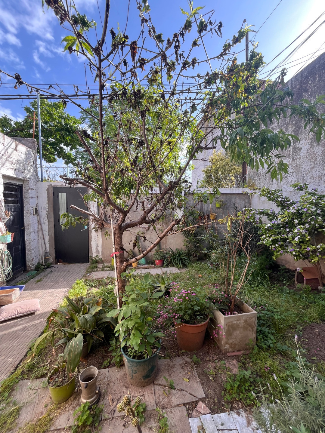 Casa en Venta en Republica Siria 1737,  Bahía Blanca - Bahía Blanca Propiedades | SITIO OFICIAL l