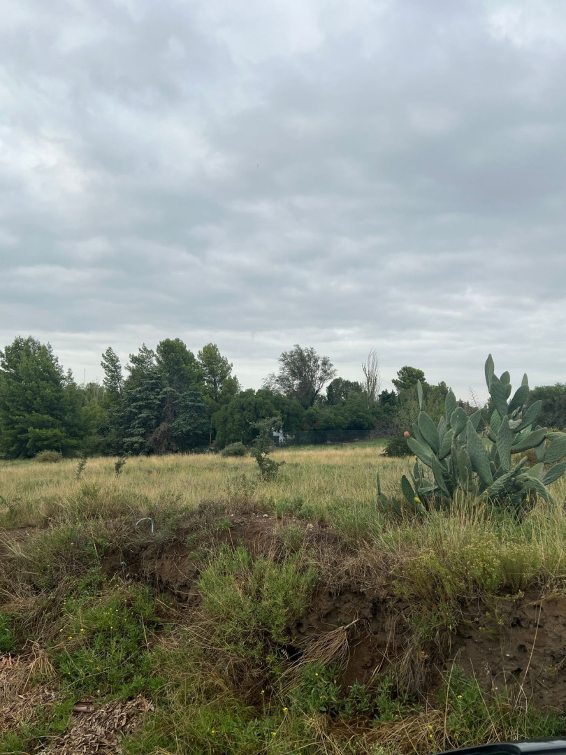 Terreno en Venta en Antonio Crespi Valls, San Carlos, Bahía Blanca - Bahía Blanca Propiedades | SITIO OFICIAL l