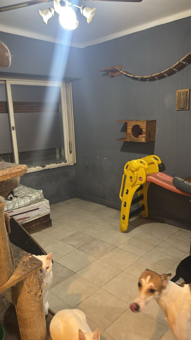 Casa en Venta en Zapiola 1100, Universitario, Bahía Blanca - Bahía Blanca Propiedades | SITIO OFICIAL l