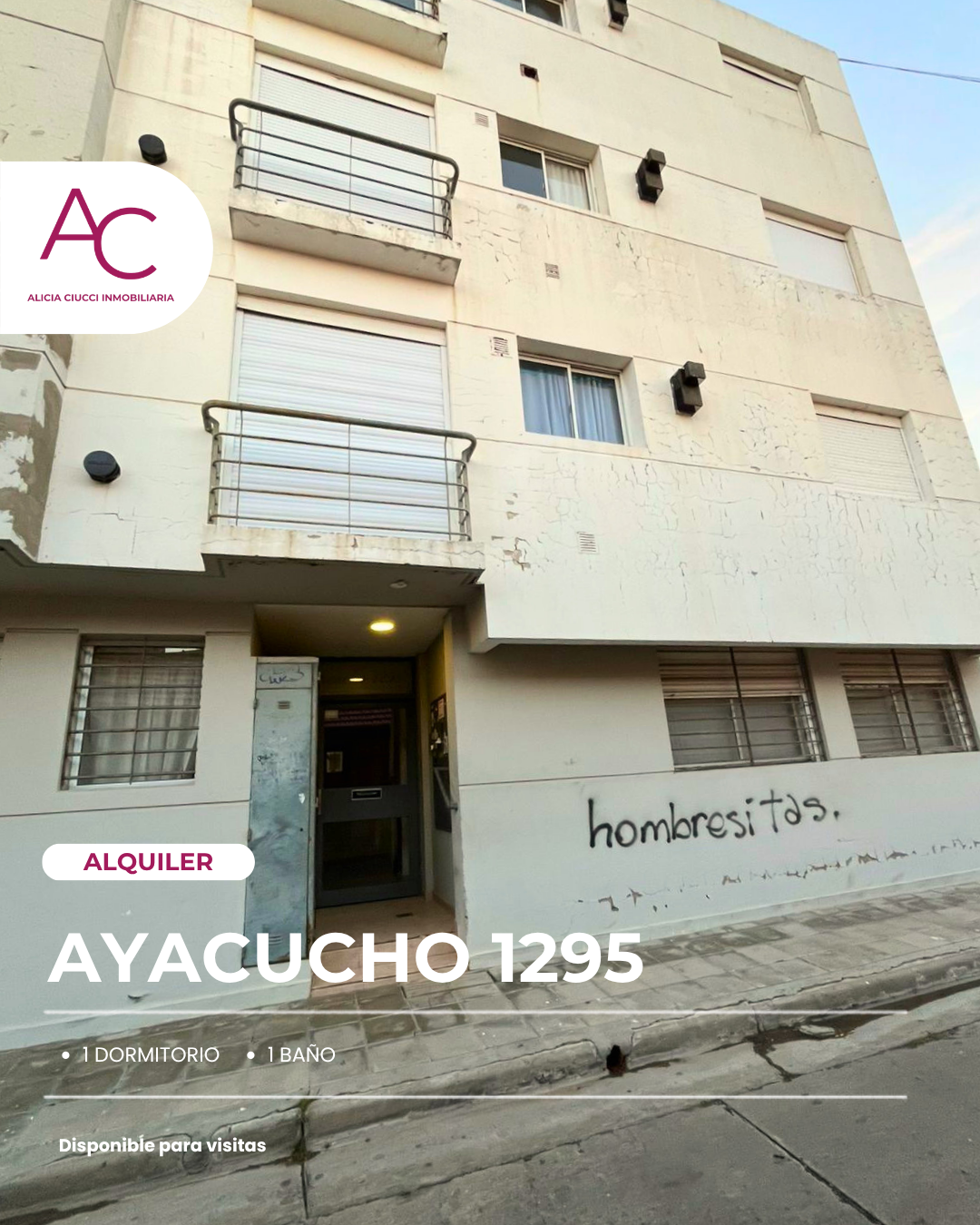 Departamento en Alquiler en AYACUCHO 1295,  Bahía Blanca - Bahía Blanca Propiedades | SITIO OFICIAL l