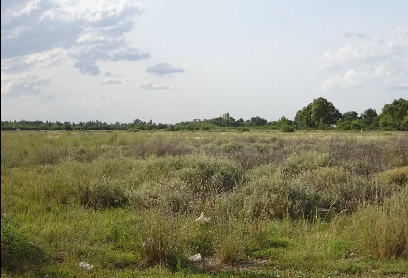 Terreno en Venta en Migueletes 500,  General Cerri - Bahía Blanca Propiedades | SITIO OFICIAL l