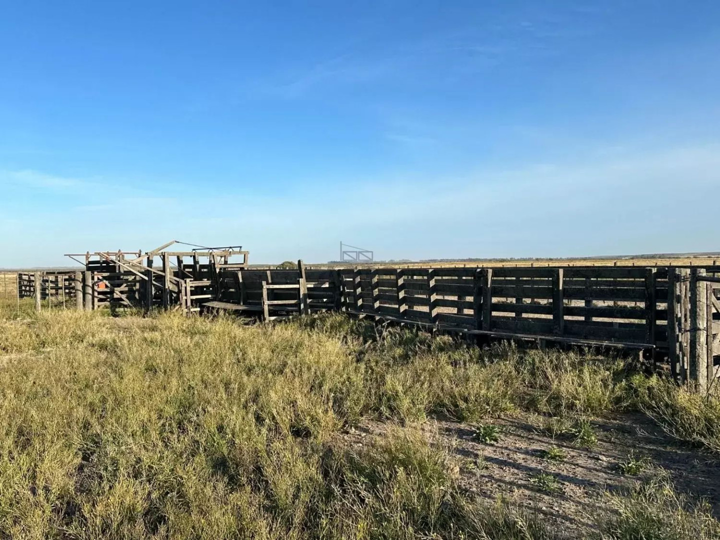Campo  en Venta en Ruta 3,  Villarino - Bahía Blanca Propiedades | SITIO OFICIAL l