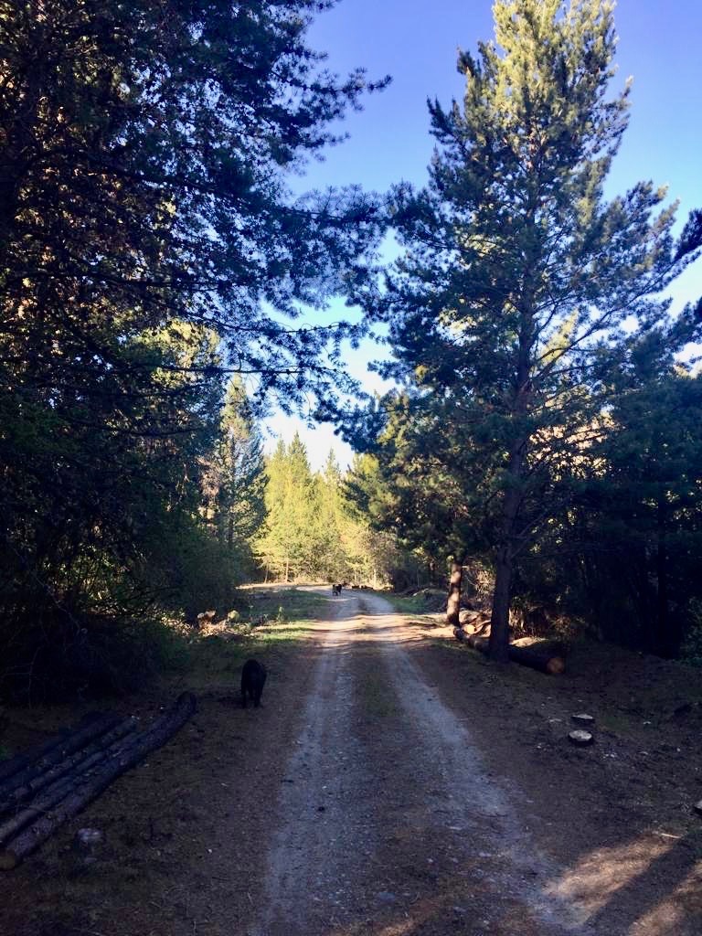 Campo  en Venta en El Bolsón ,  El Bolsón - Bahía Blanca Propiedades | SITIO OFICIAL l