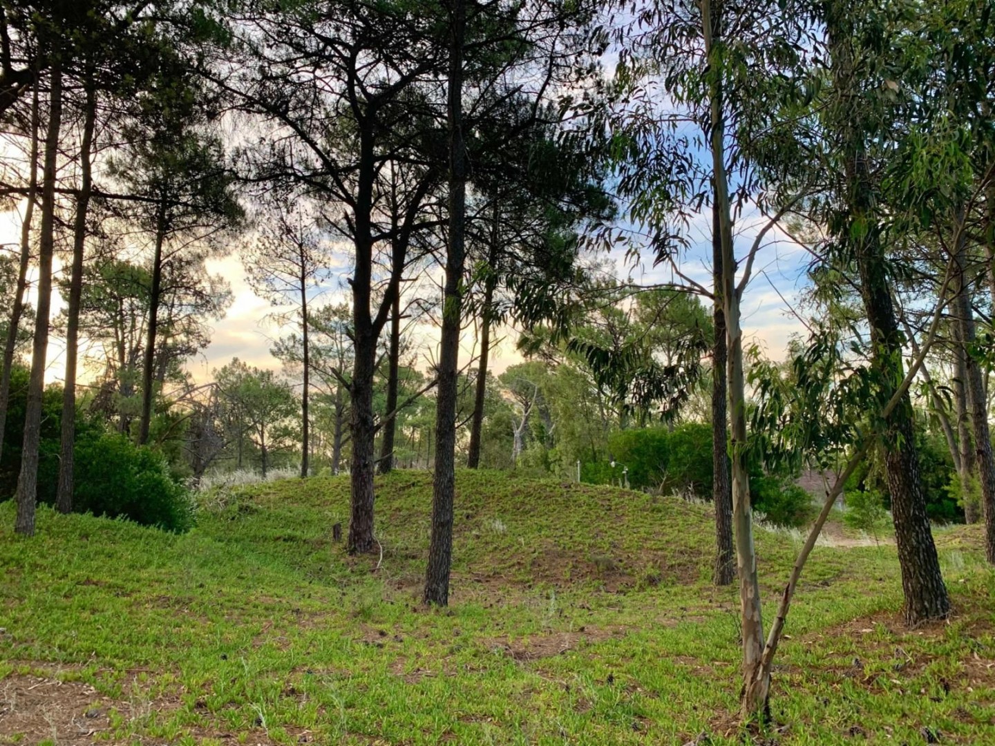 Terreno en Venta en Calle Laurel Y Jazmín, Las Lomas, Monte Hermoso - Bahía Blanca Propiedades | SITIO OFICIAL l