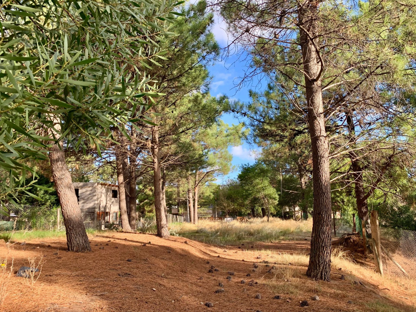Terreno en Venta en Del Pejerrey Entre Los Delfines Y Del Tiburón, Las Dunas, Monte Hermoso - Bahía Blanca Propiedades | SITIO OFICIAL l