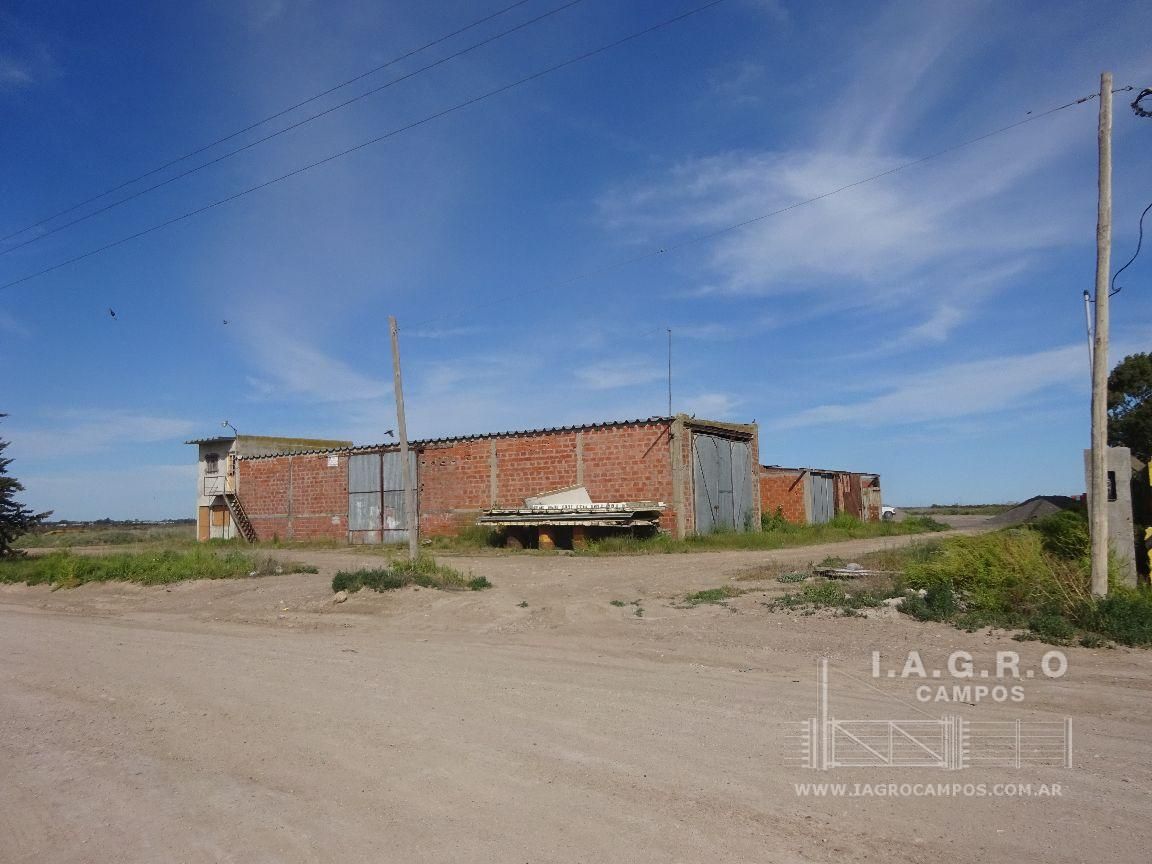 Galpón en Venta en Sussini Y Lugones,  General Cerri - Bahía Blanca Propiedades | SITIO OFICIAL l