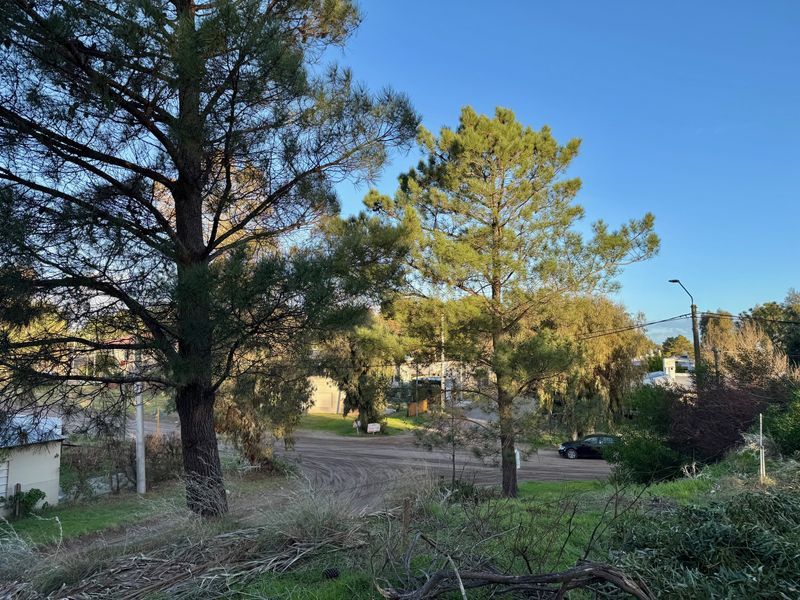 Terreno en Venta en Av. Zucchiatti Y Córdoba, Dufaur, Monte Hermoso - Bahía Blanca Propiedades | SITIO OFICIAL l