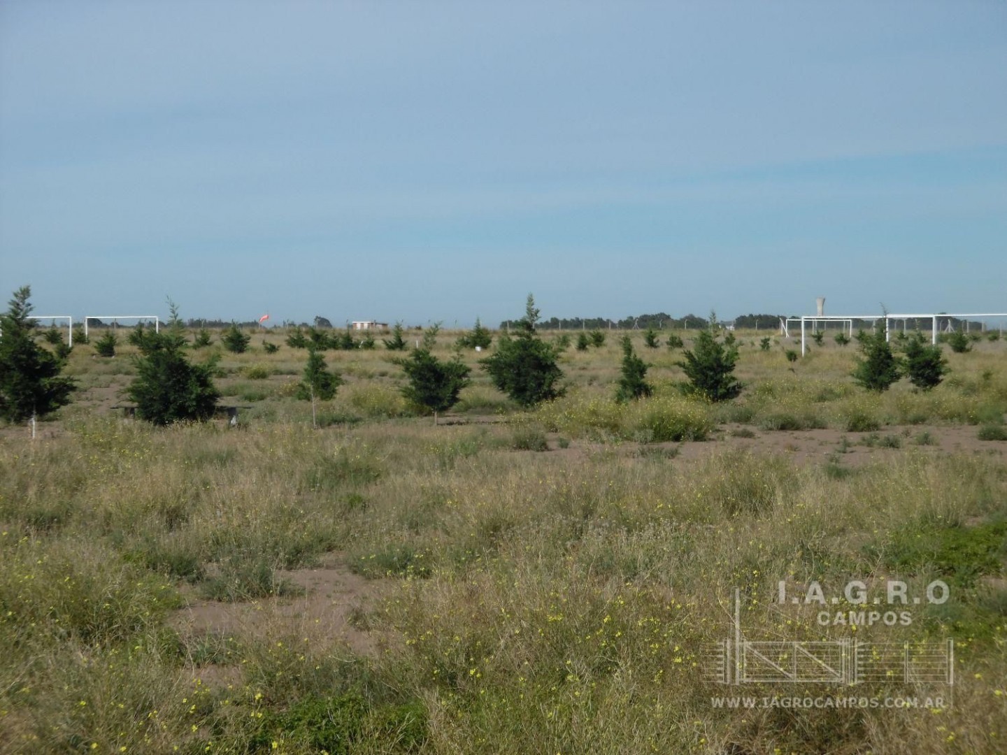 Campo  en Venta en Ruta 3,  Bahía Blanca - Bahía Blanca Propiedades | SITIO OFICIAL l