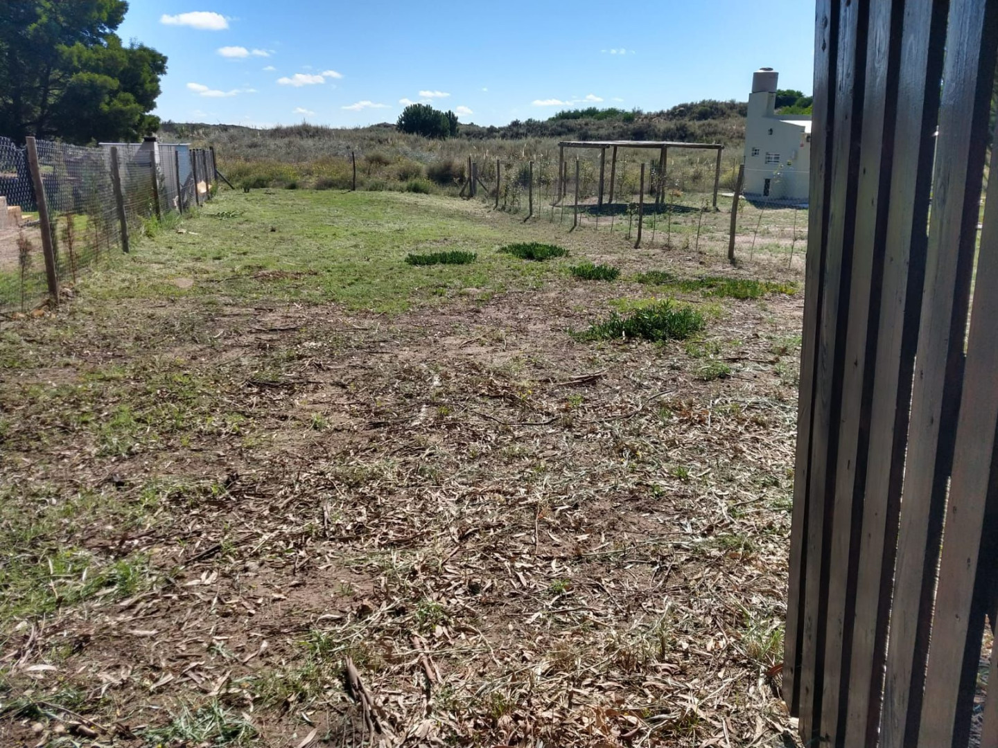 Terreno en Venta  El Sauce, Monte Hermoso - Bahía Blanca Propiedades | SITIO OFICIAL l