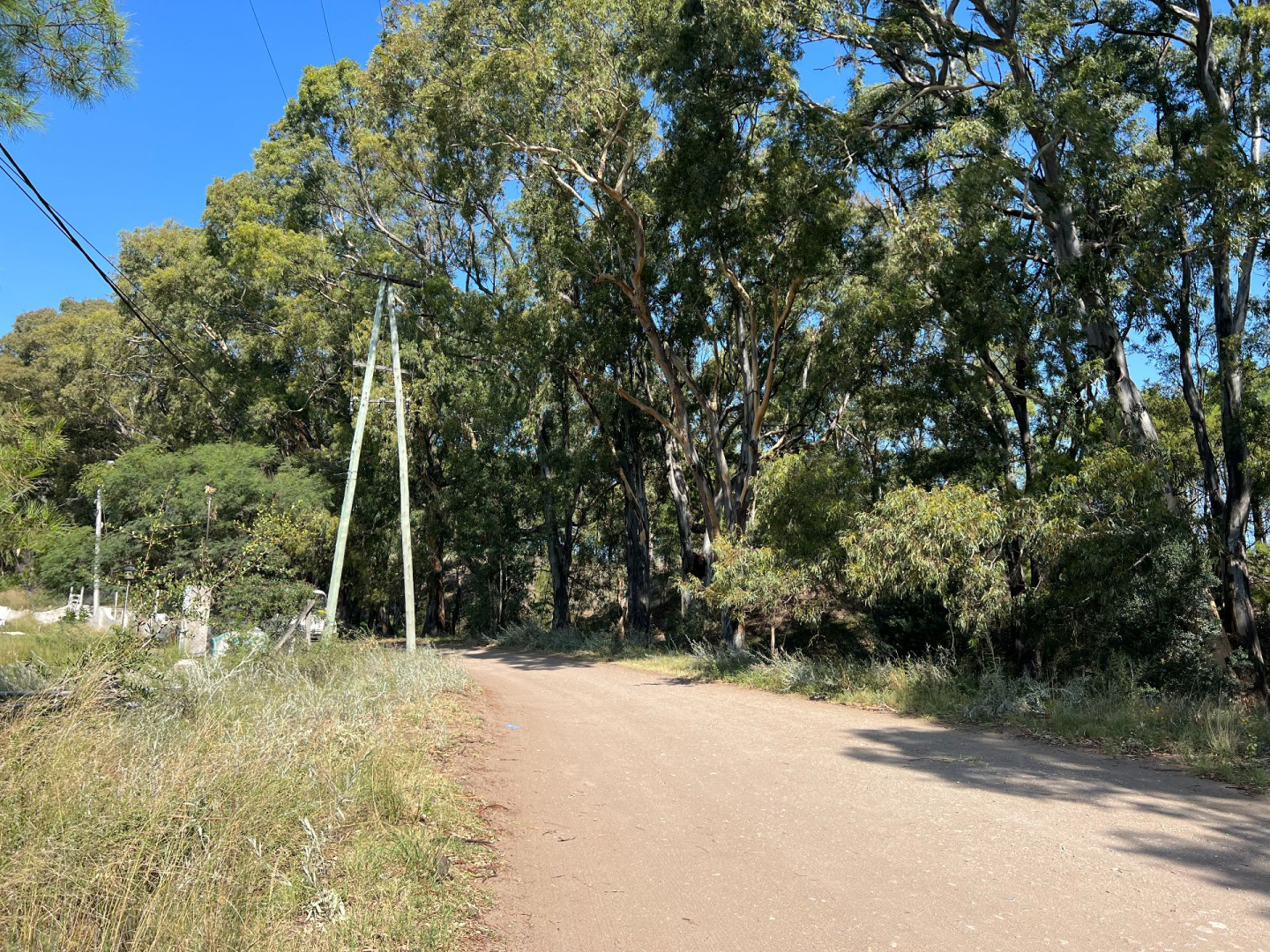 Terreno en Venta en Calle 8,  Pehuen Co - Bahía Blanca Propiedades | SITIO OFICIAL l