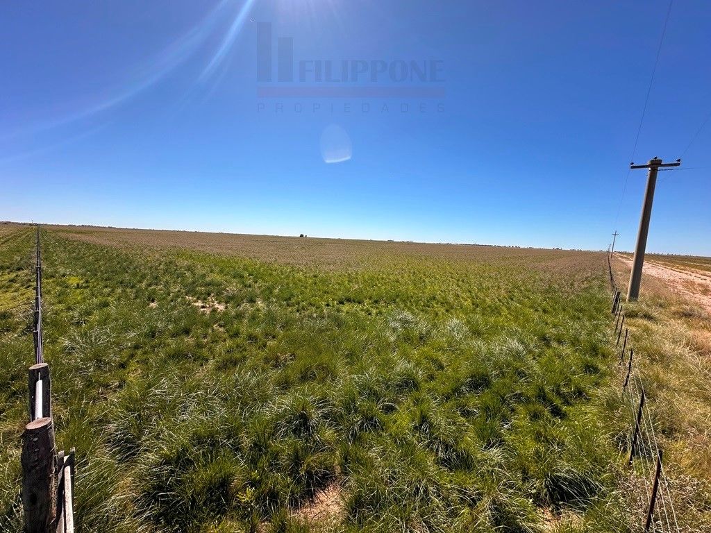 Campo  en Venta en Ruta 35 - Bahía Blanca Propiedades | SITIO OFICIAL l
